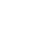 80pg icon